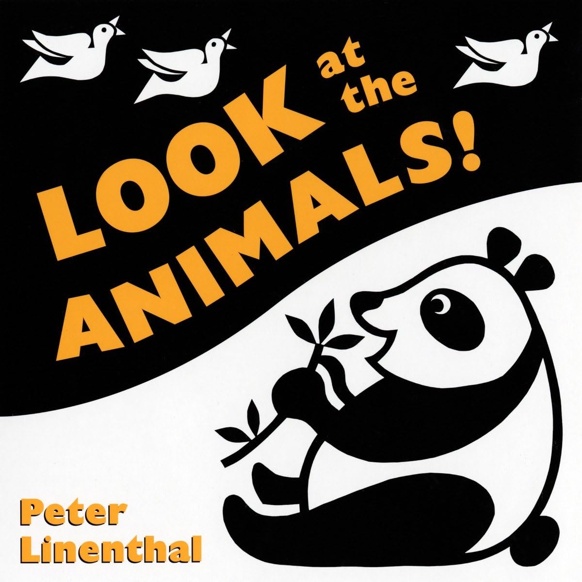 Look at the Animals - 8884