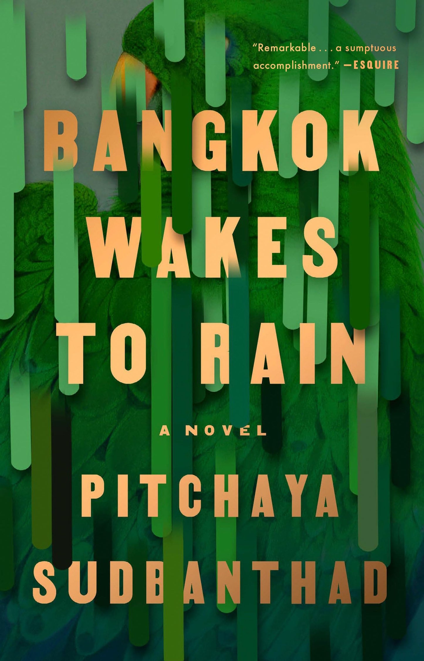 Bangkok Wakes to Rain: A Novel - 1586