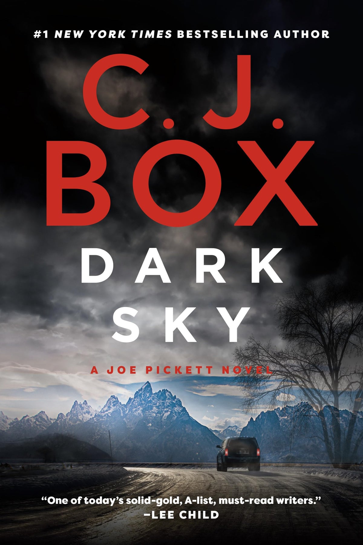 Dark Sky (A Joe Pickett Novel)