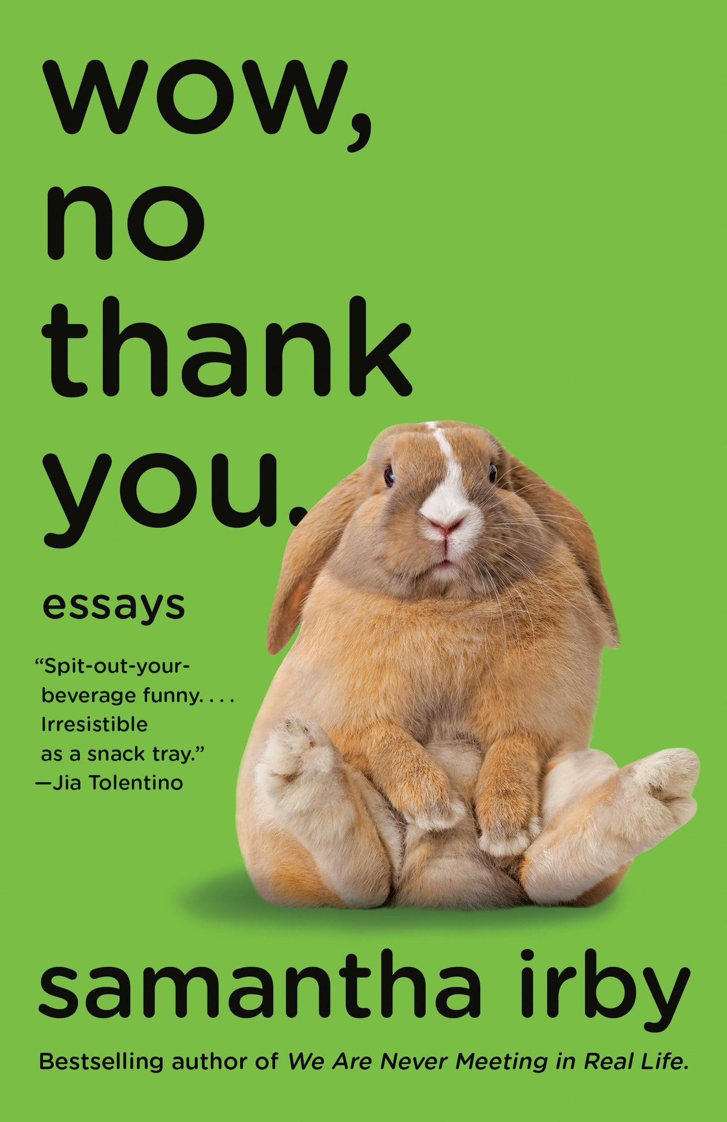 WOW, NO THANK YOU.: ESSAYS (LAMB - 3517