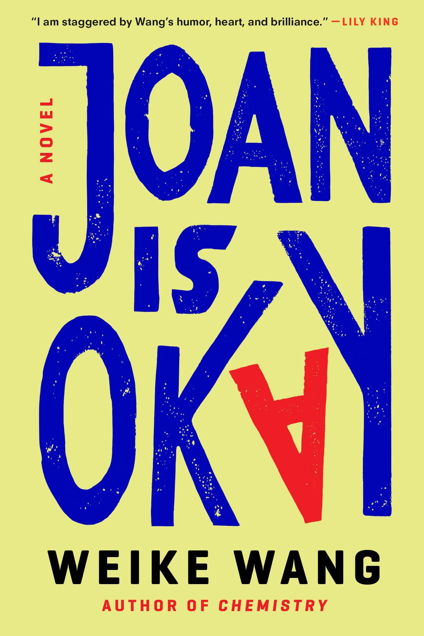 Joan Is Okay: A Novel - 851