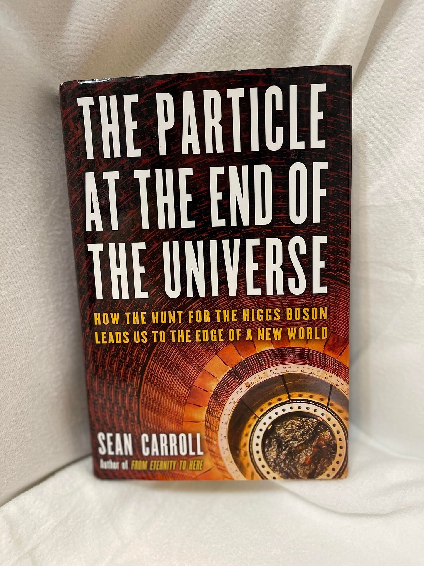 The Particle at the End of the Universe: How the Hunt for the Higgs Boson Leads Us to the Edge of a New World