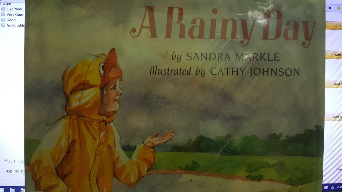 A Rainy Day