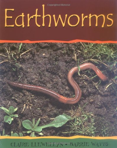 Earthworms (Minibeasts)