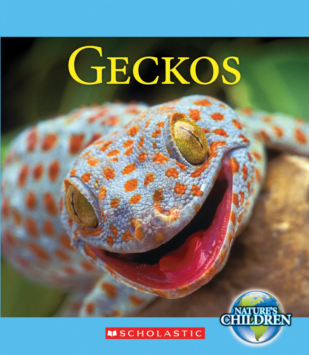 Geckos (Nature's Children)