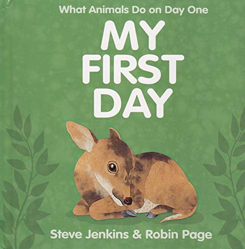 My First Day: What Animals do on Day One (Hardcover) (6x6)