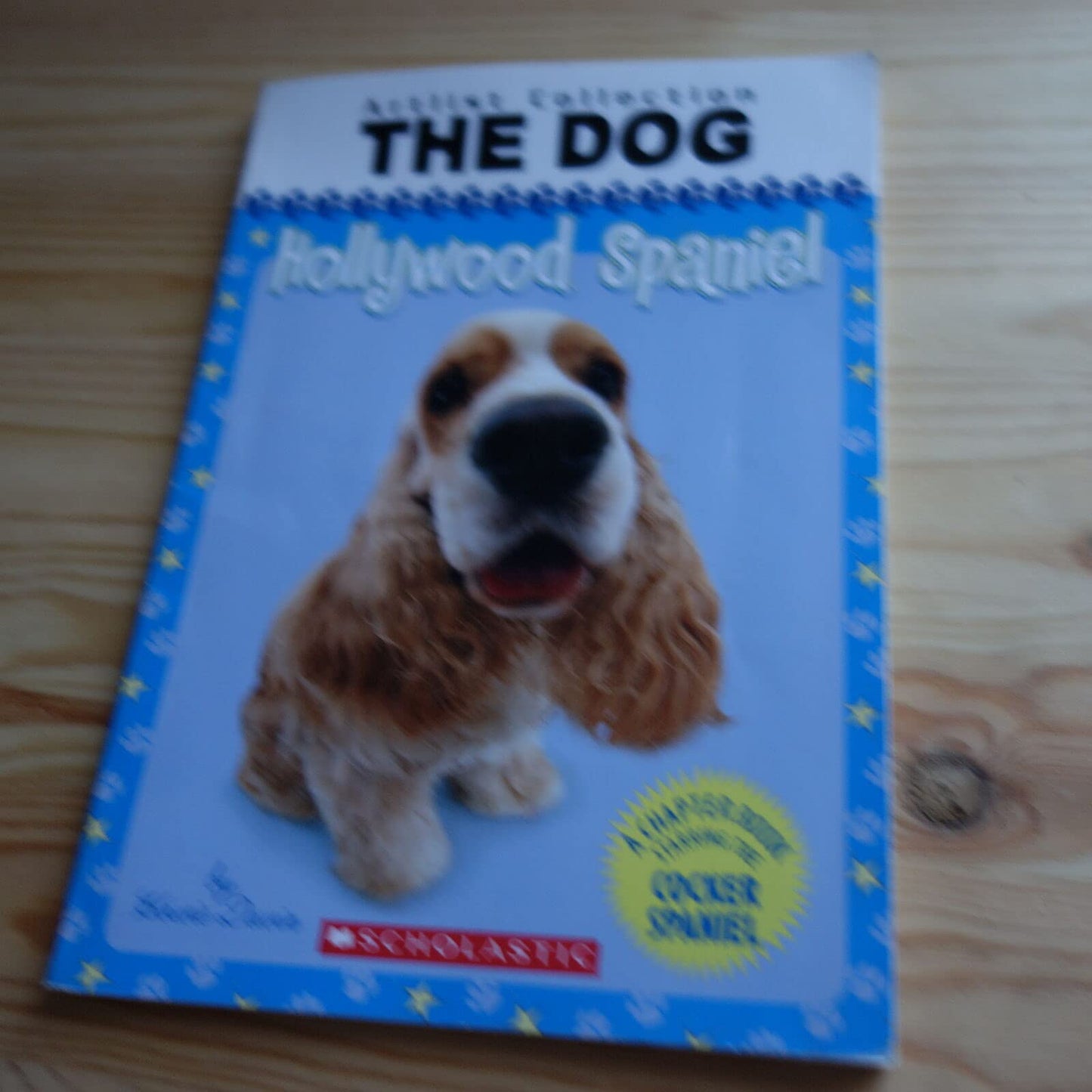 Hollywood Spaniel (Artlist Collection: The Dog)
