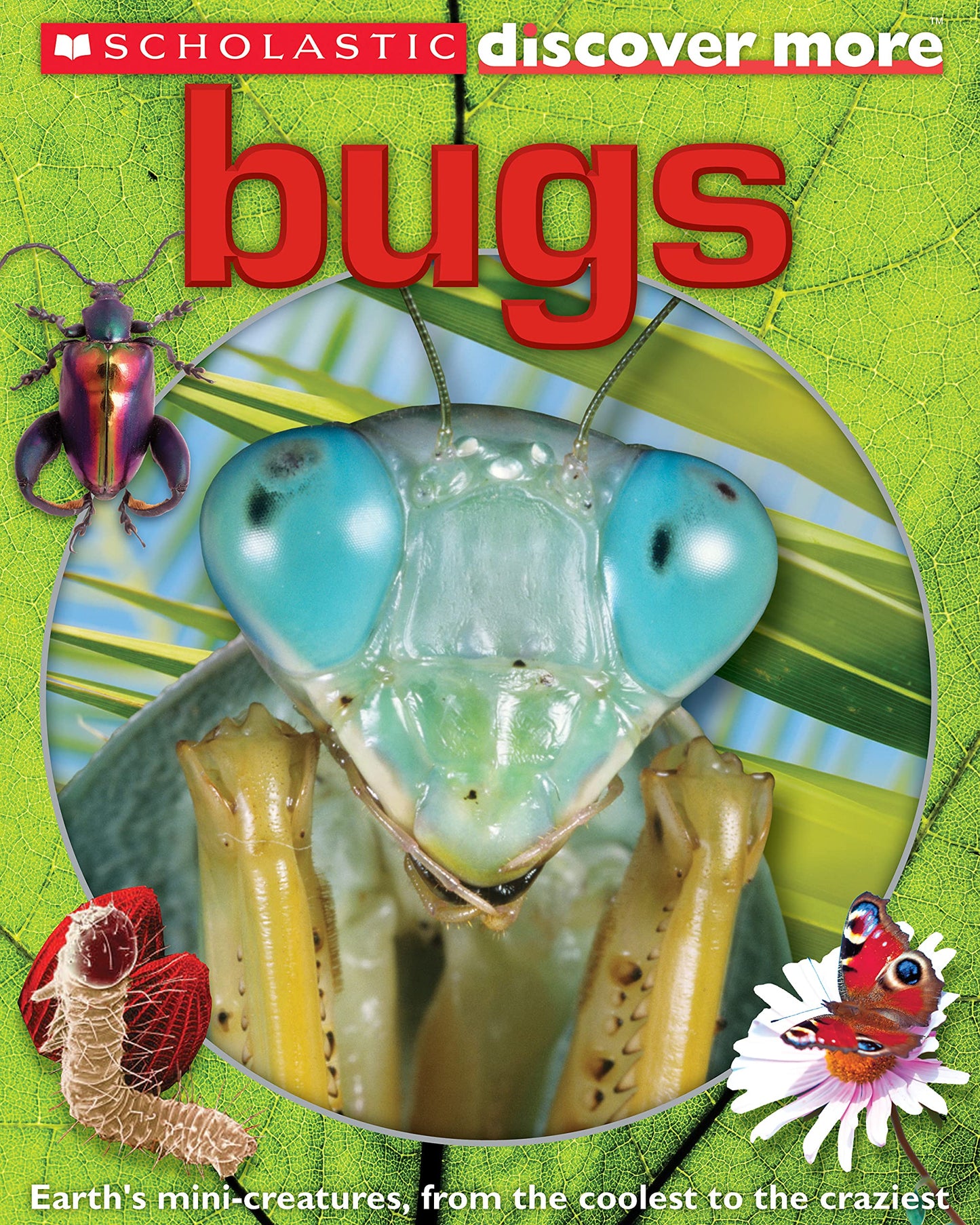 Bugs (Scholastic Discover More) - 8344