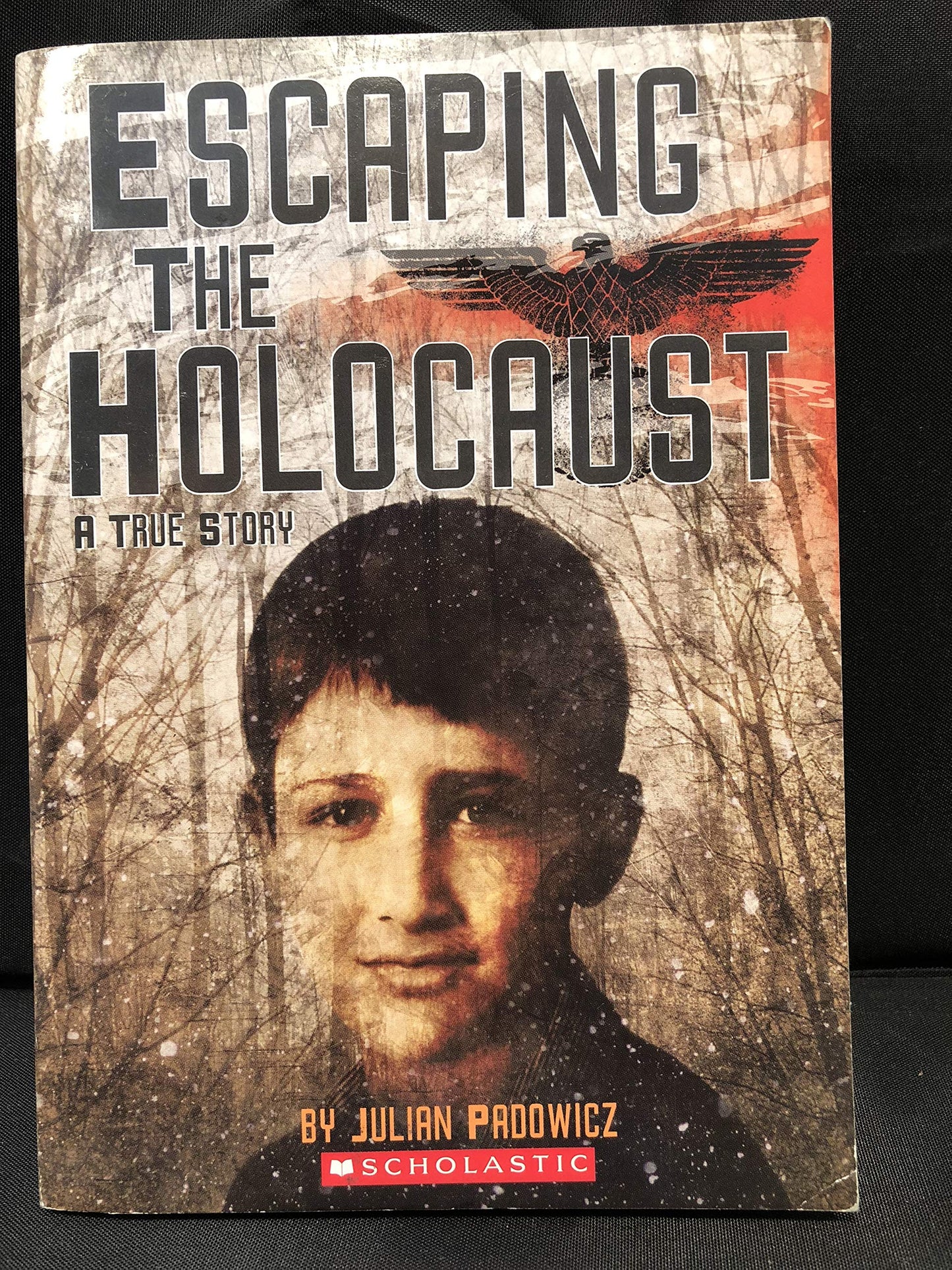 Escaping the Holocaust a true story