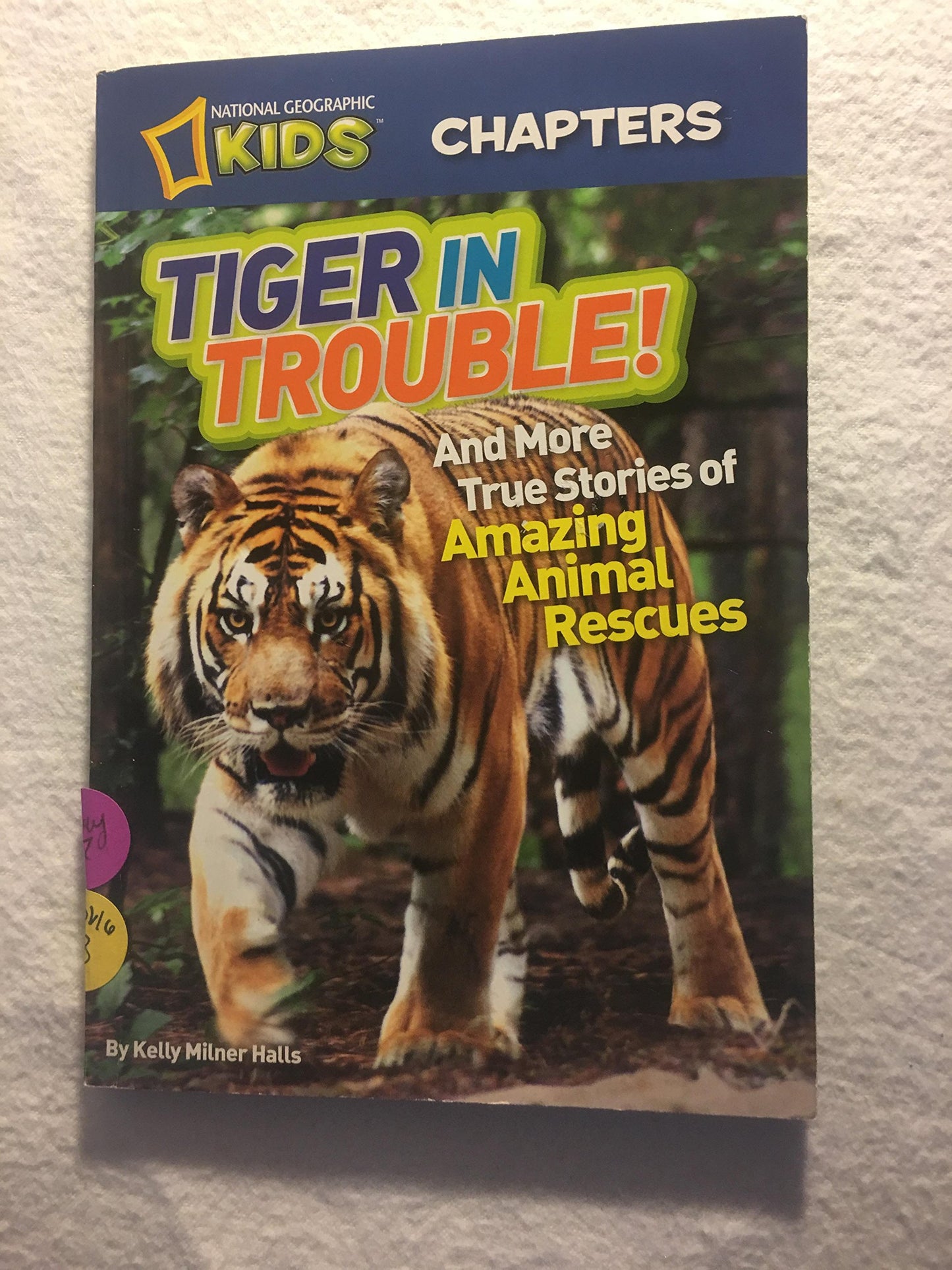 National Geographic Kids Chapters 4-pack Paperbacks: Tiger in Trouble!, Ape Escapes!, Animal Superstars!, Crocodile Encounters
