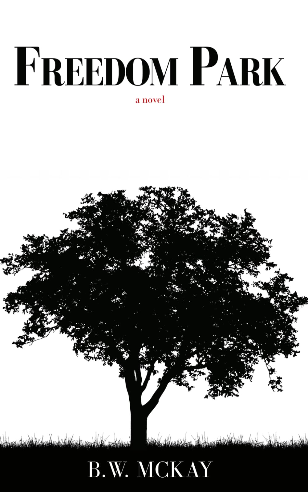 Freedom Park: A Novel