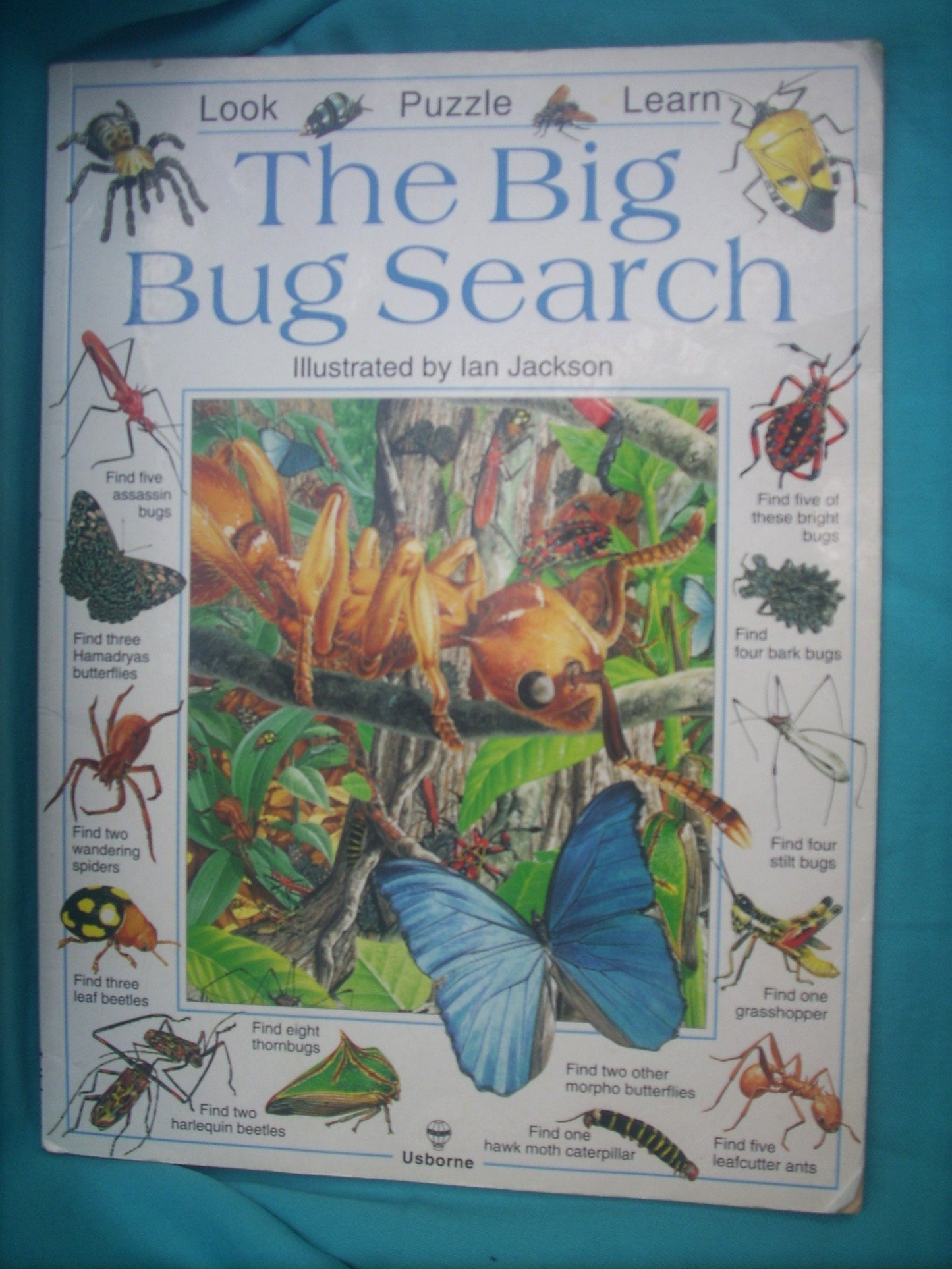 The Big Bug Search
