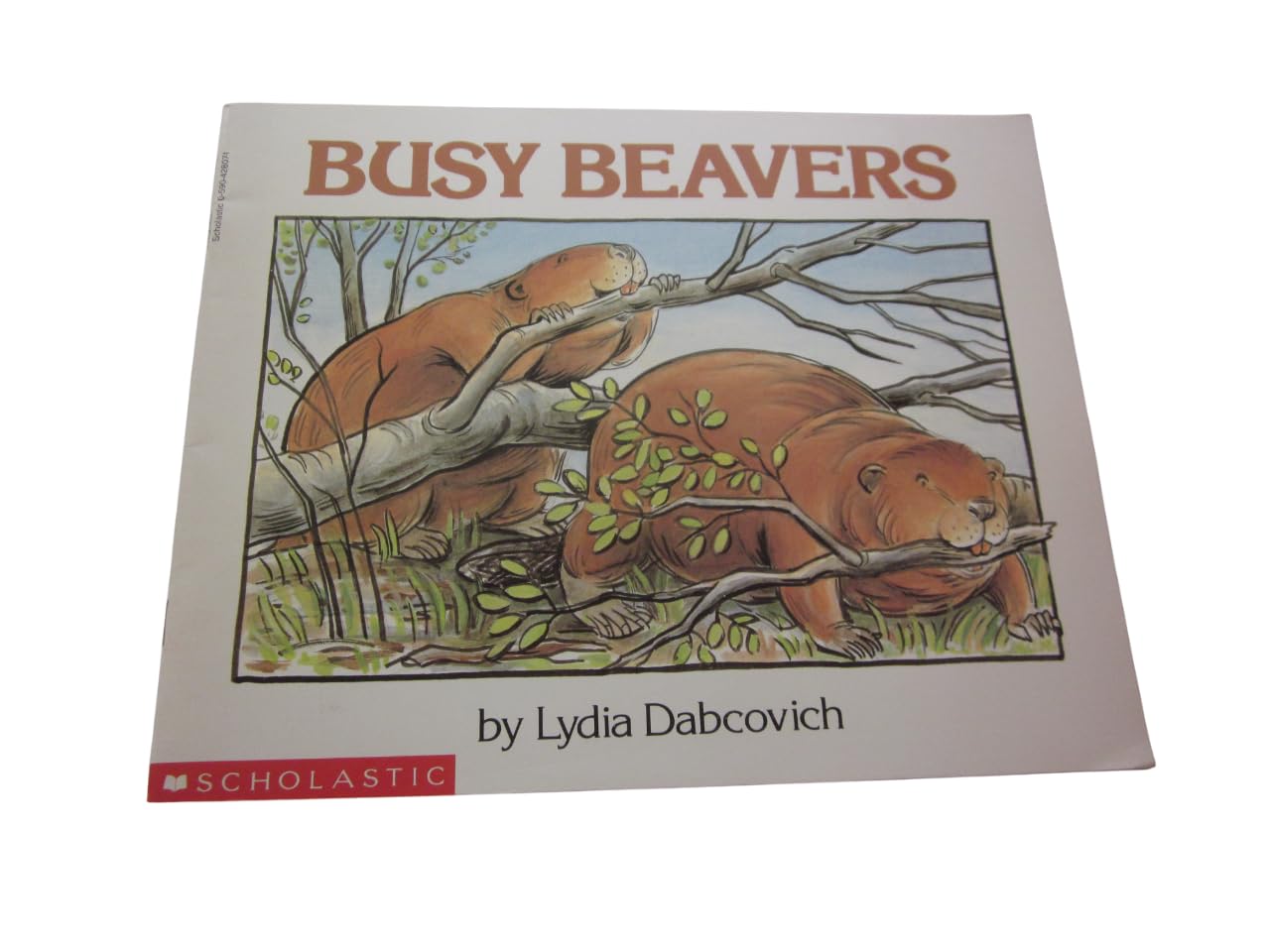 Busy Beavers