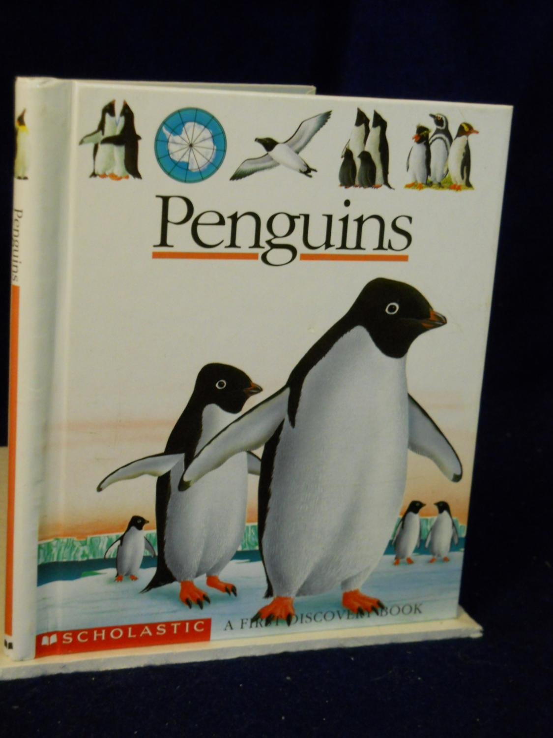 Penguins First Discovery