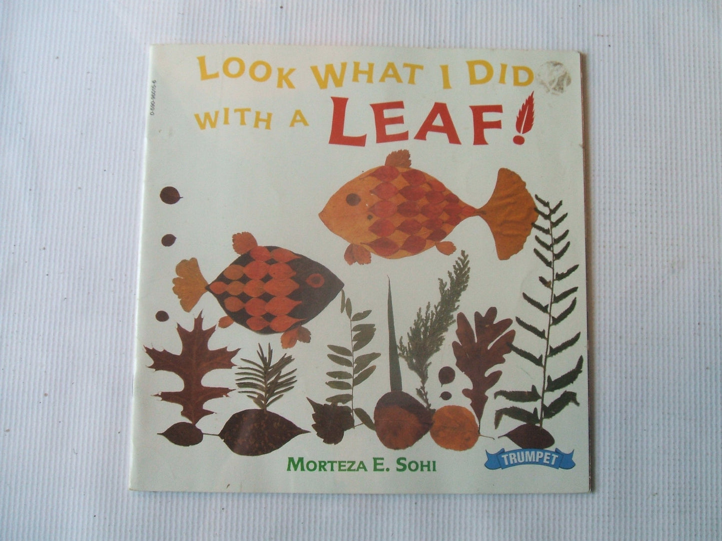 Look What I Did with a Leaf