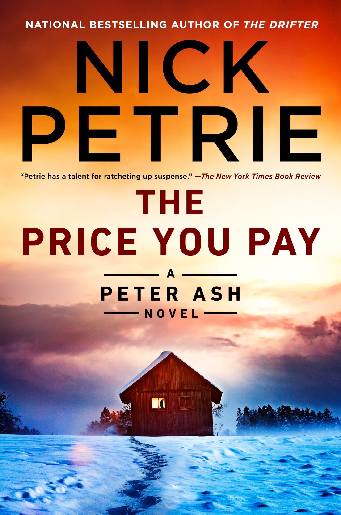 The Price You Pay (A Peter Ash Novel)
