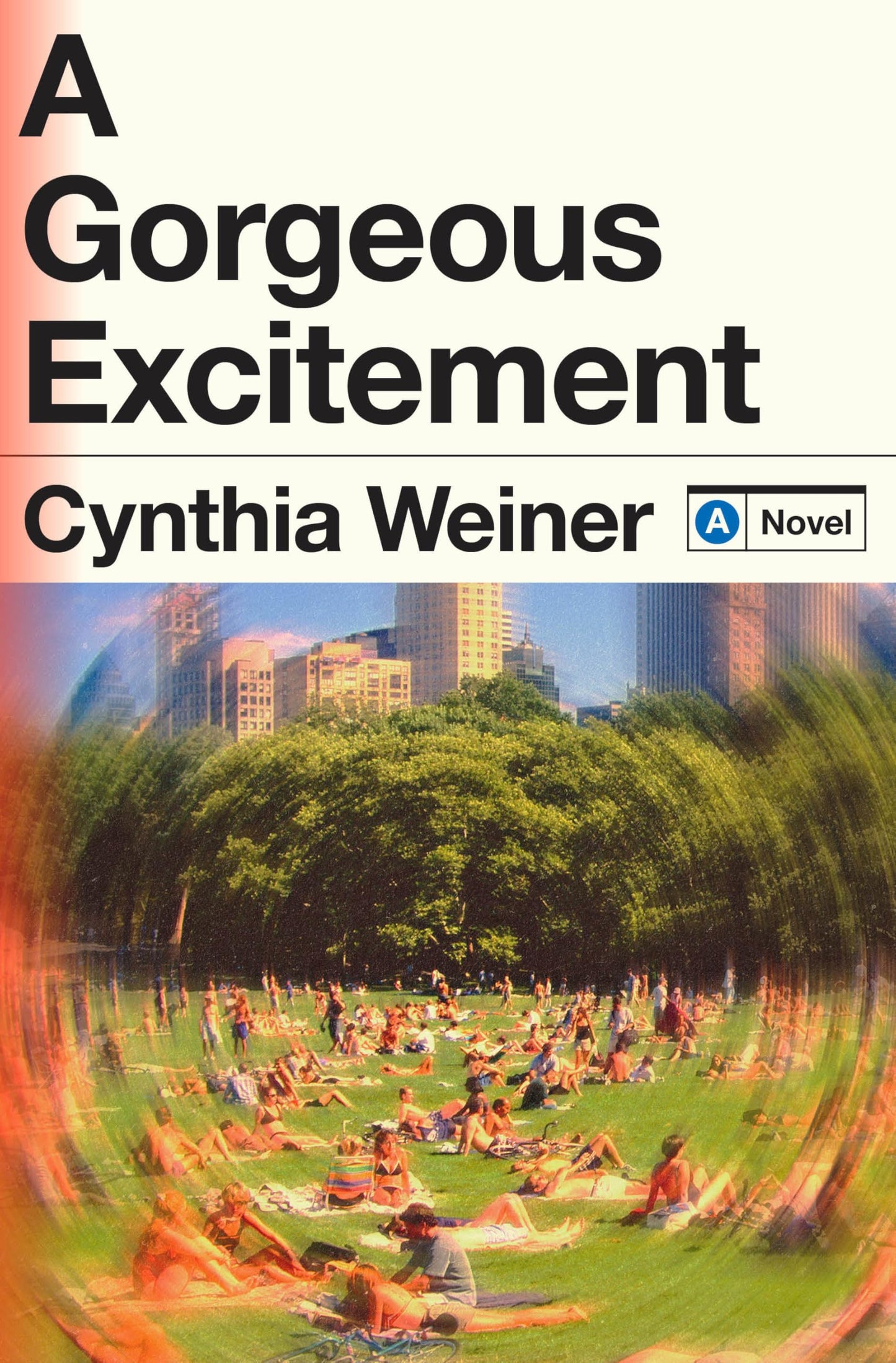 A Gorgeous Excitement: A Novel - 2886