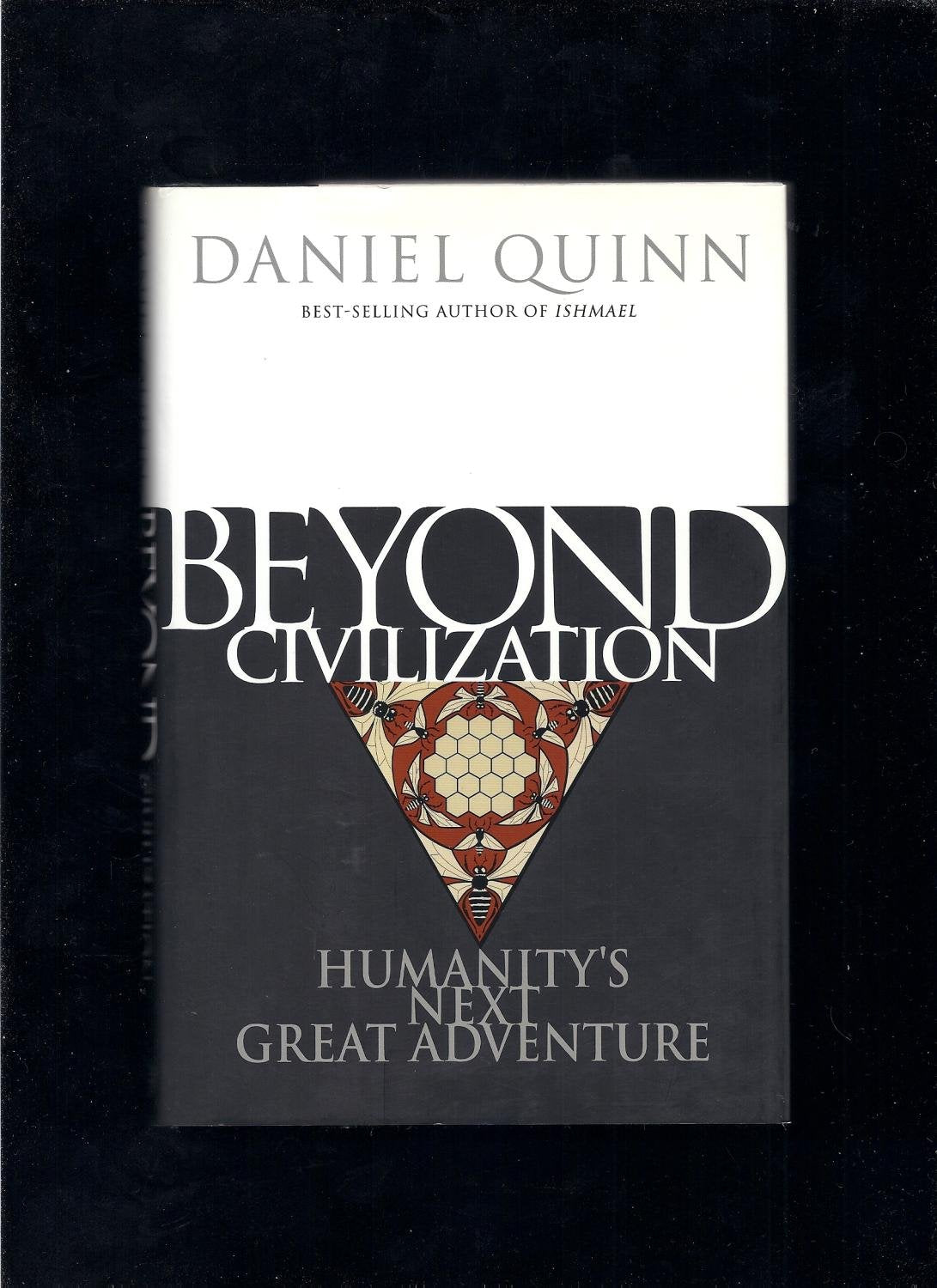 Beyond Civilization: Humanity's Next Great Adventure - 1603