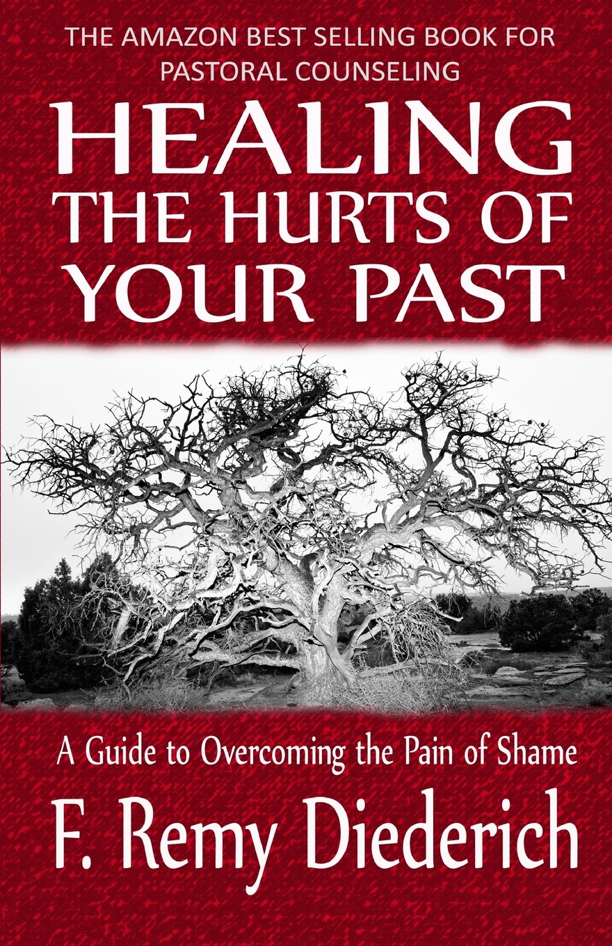Healing the Hurts of Your Past: A Guide to Overcoming the Pain of Shame - 9865