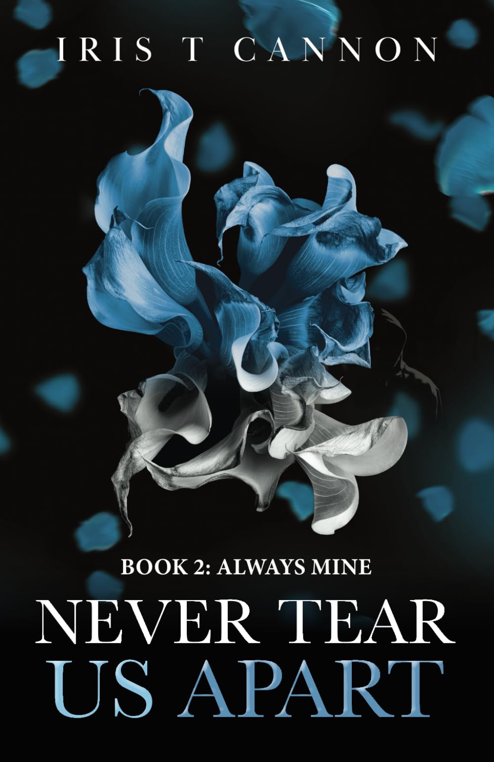 Never Tear Us Apart (ALWAYS MINE) - 3011