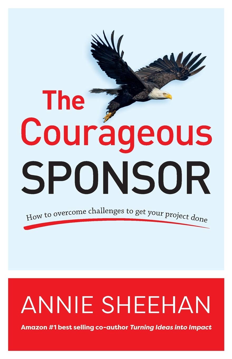 The Courageous Sponsor: How to overcome challenges to get your project done
