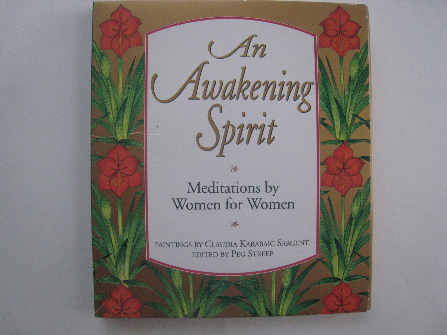 An Awakening Spirit: Meditations by Women for Women