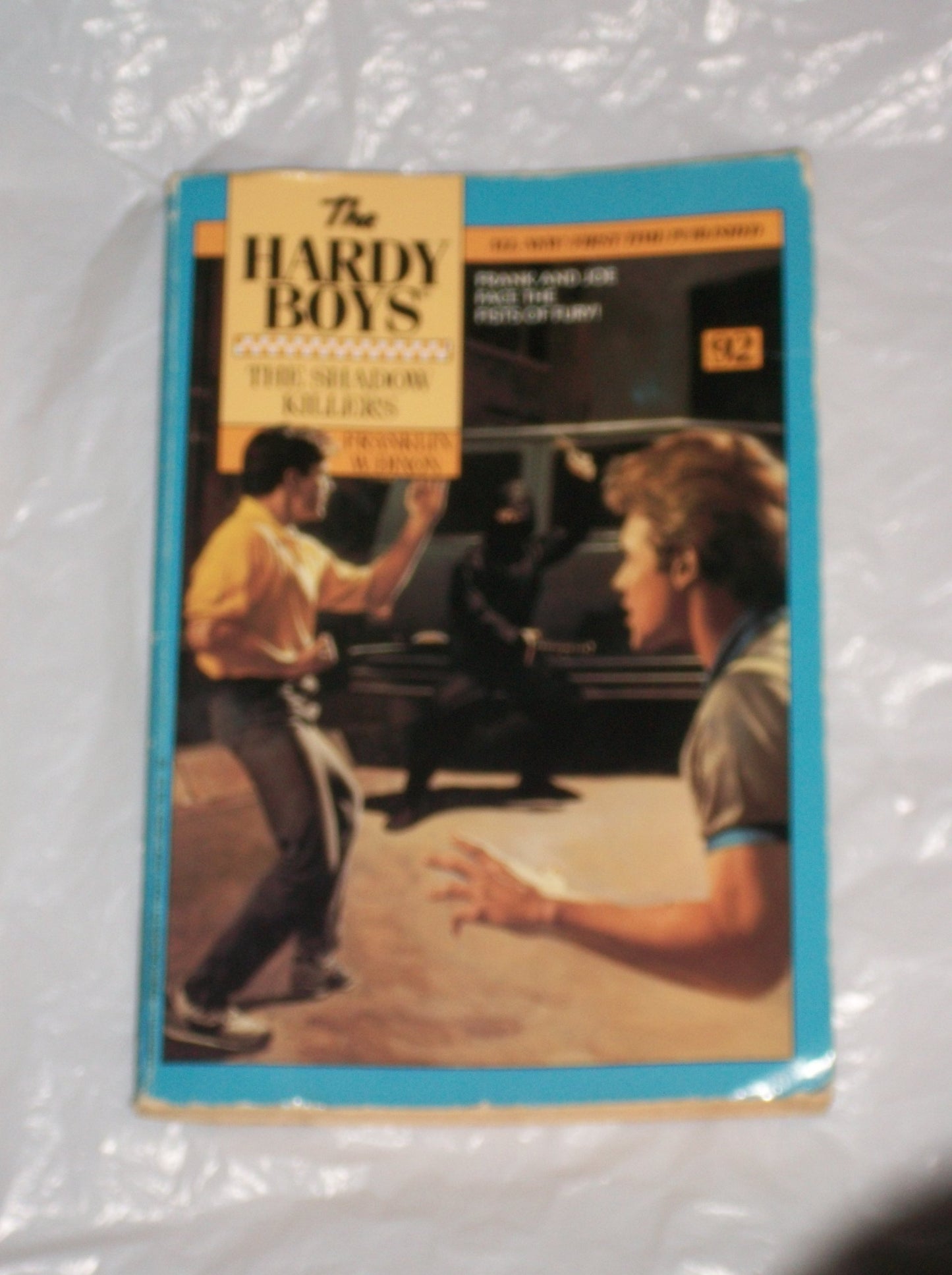 The Shadow Killers (The Hardy Boys #92)