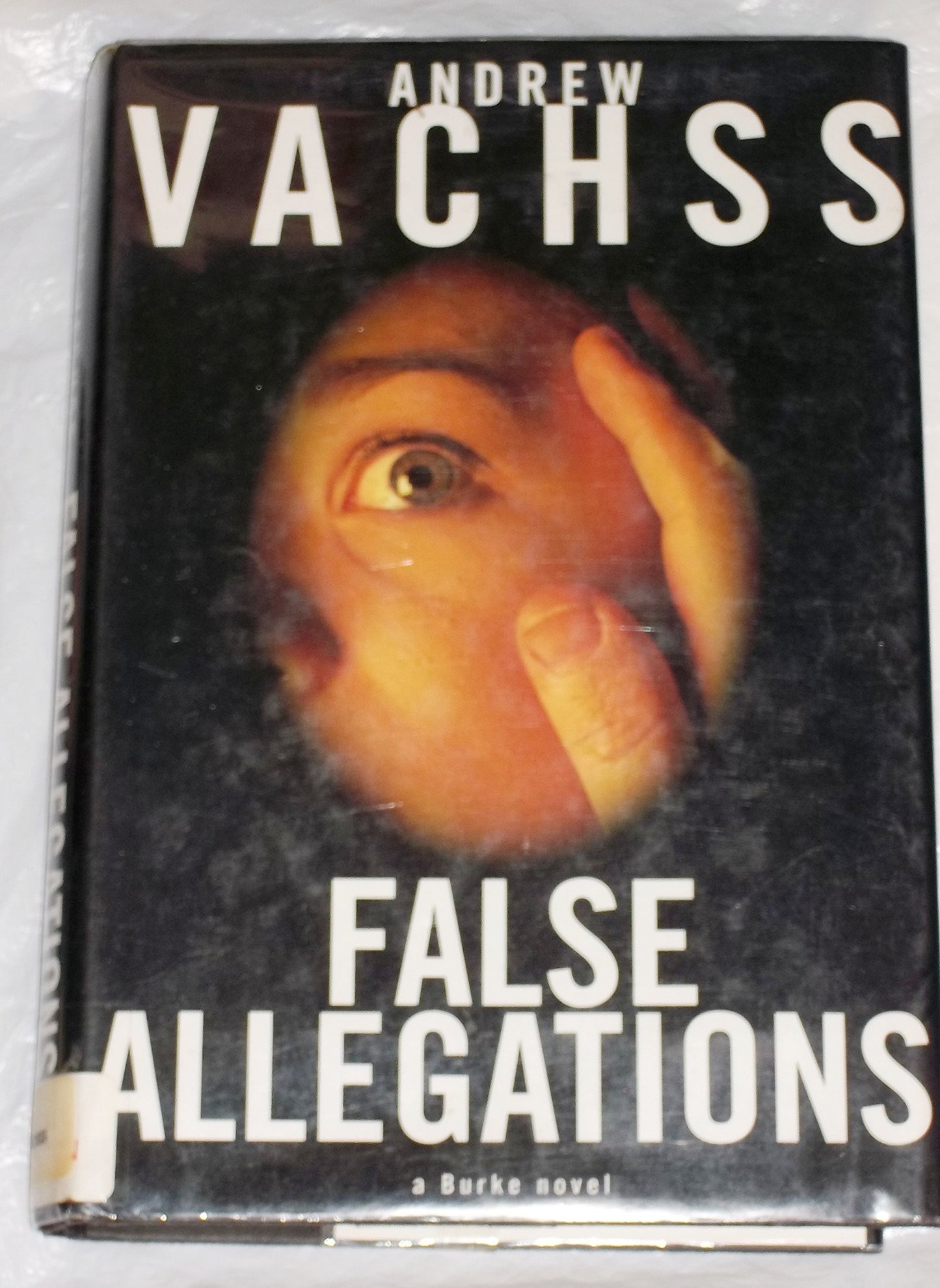 False Allegations: A Burke Novel