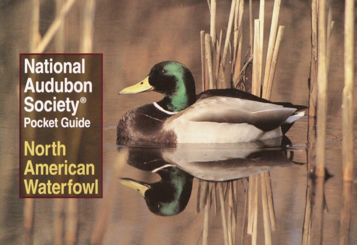 National Audubon Society Pocket Guide: North American Waterfowl