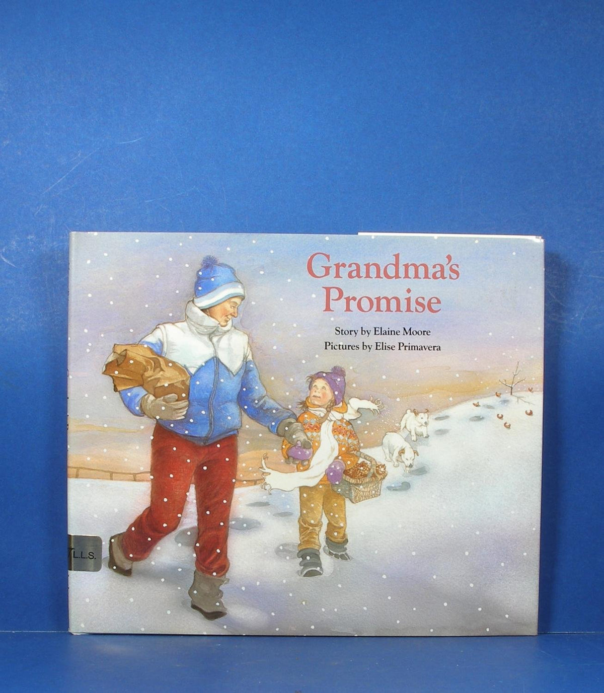 Grandma's Promise