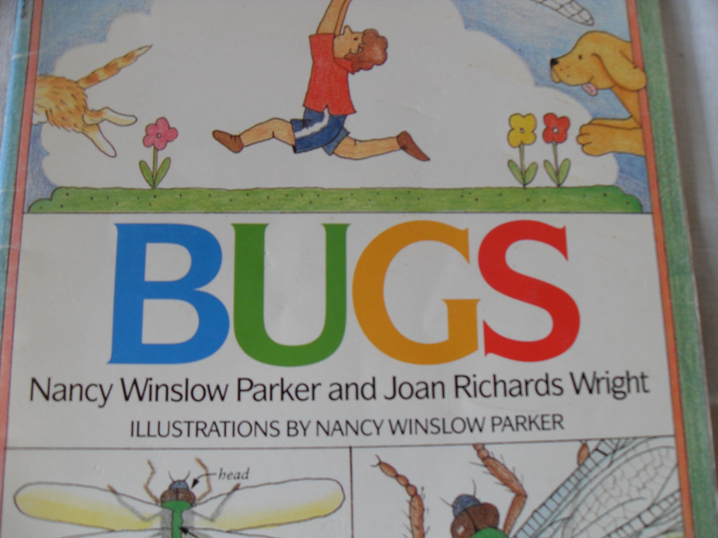 Bugs: An Illustrated Book About Sixteen Insects with Lively Couplets and Diagrams for Children (Ages 4-8) (Reading Rainbow Books)