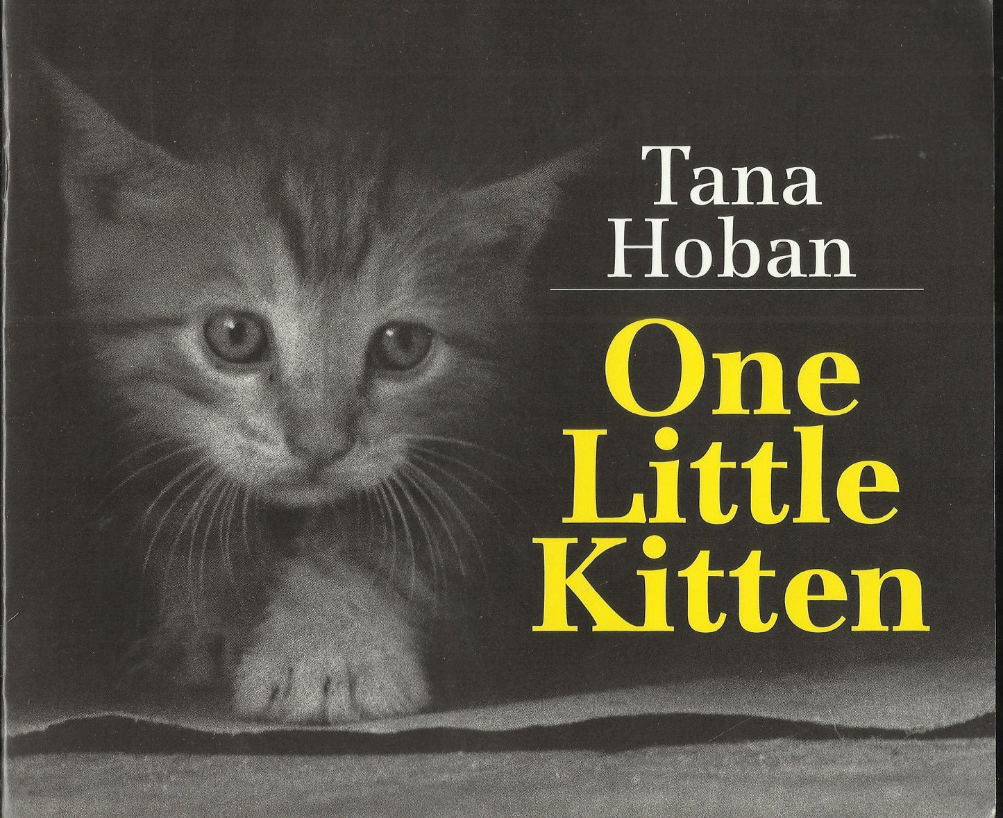 One Little Kitten - 4227