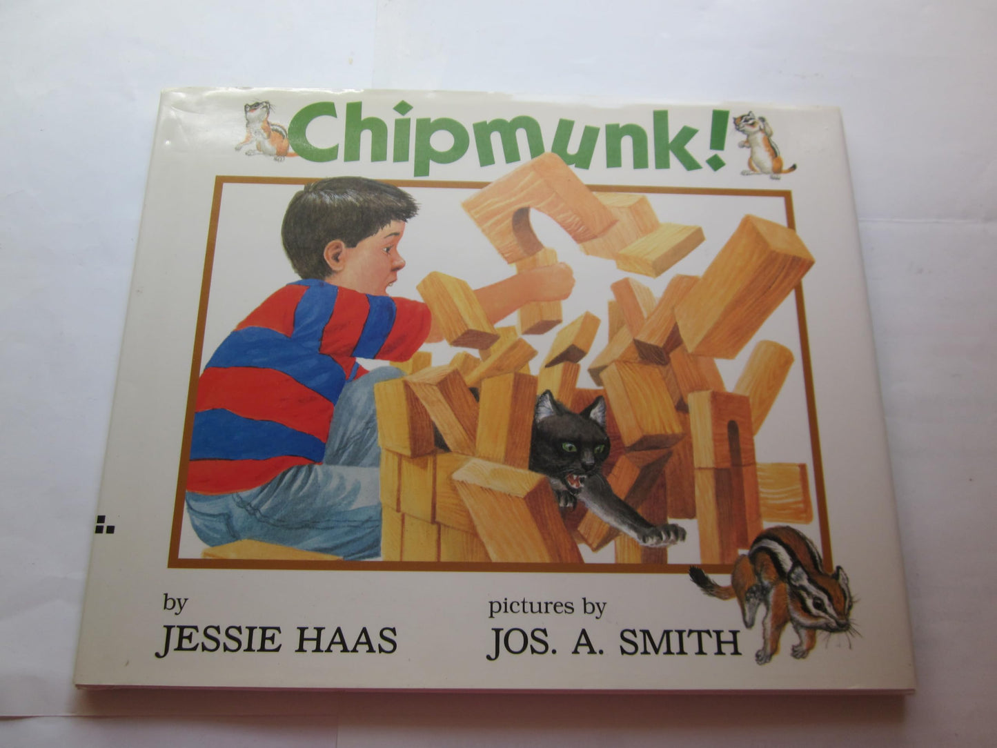 Chipmunk! - 6797