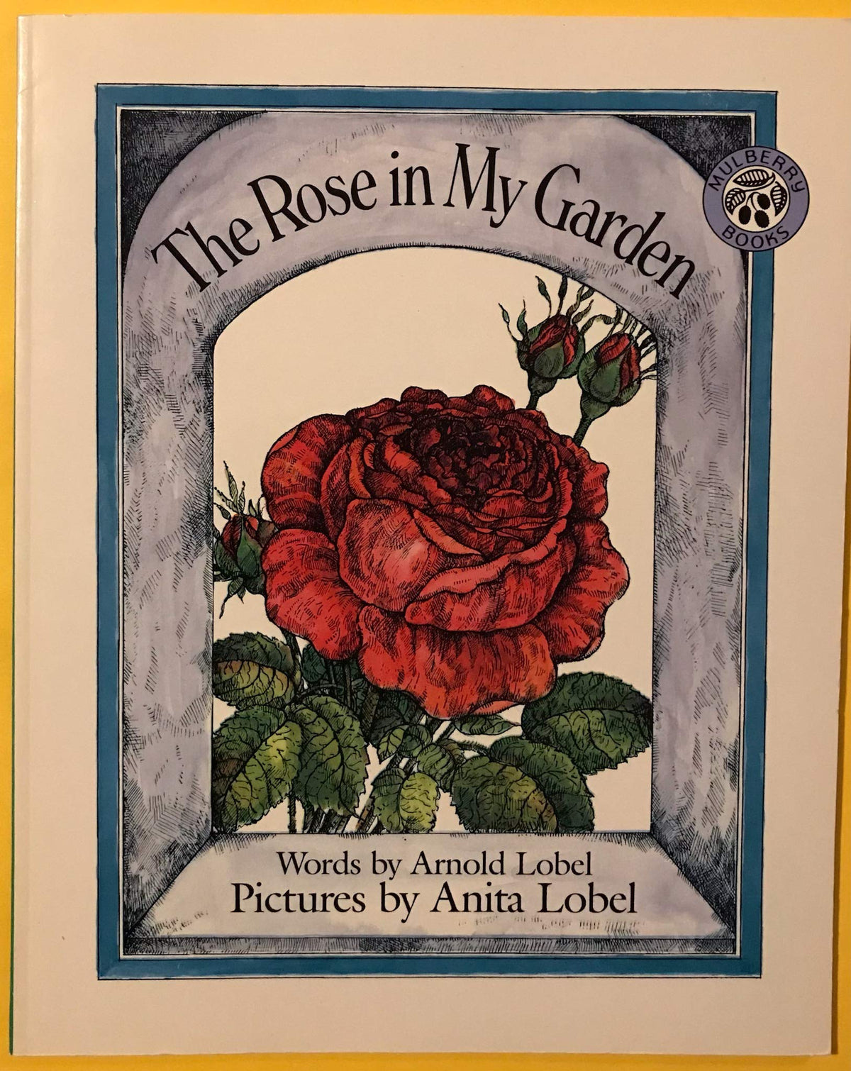 The Rose in My Garden