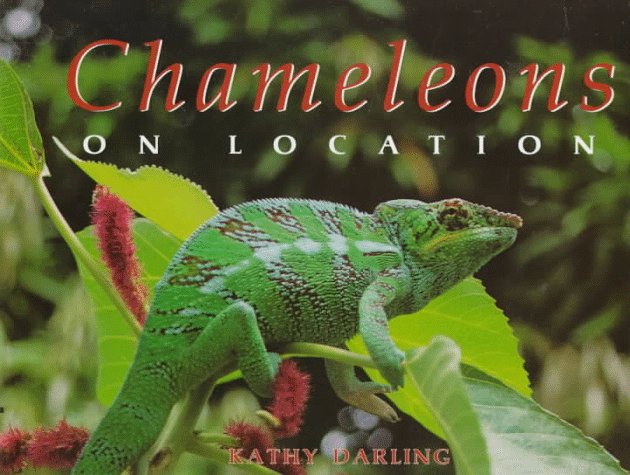Chameleons: On Location