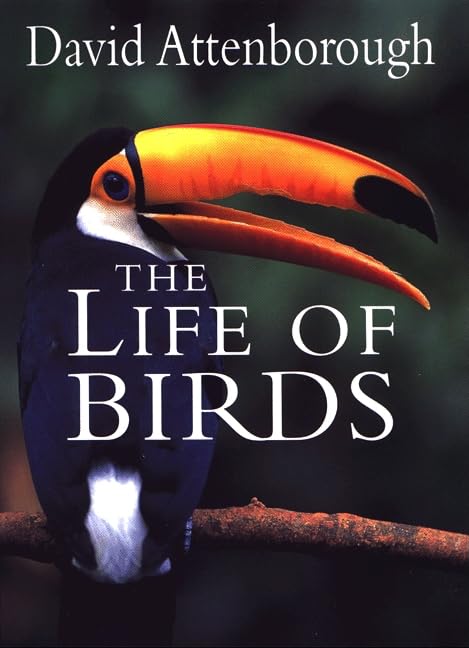 The Life of Birds - 9528