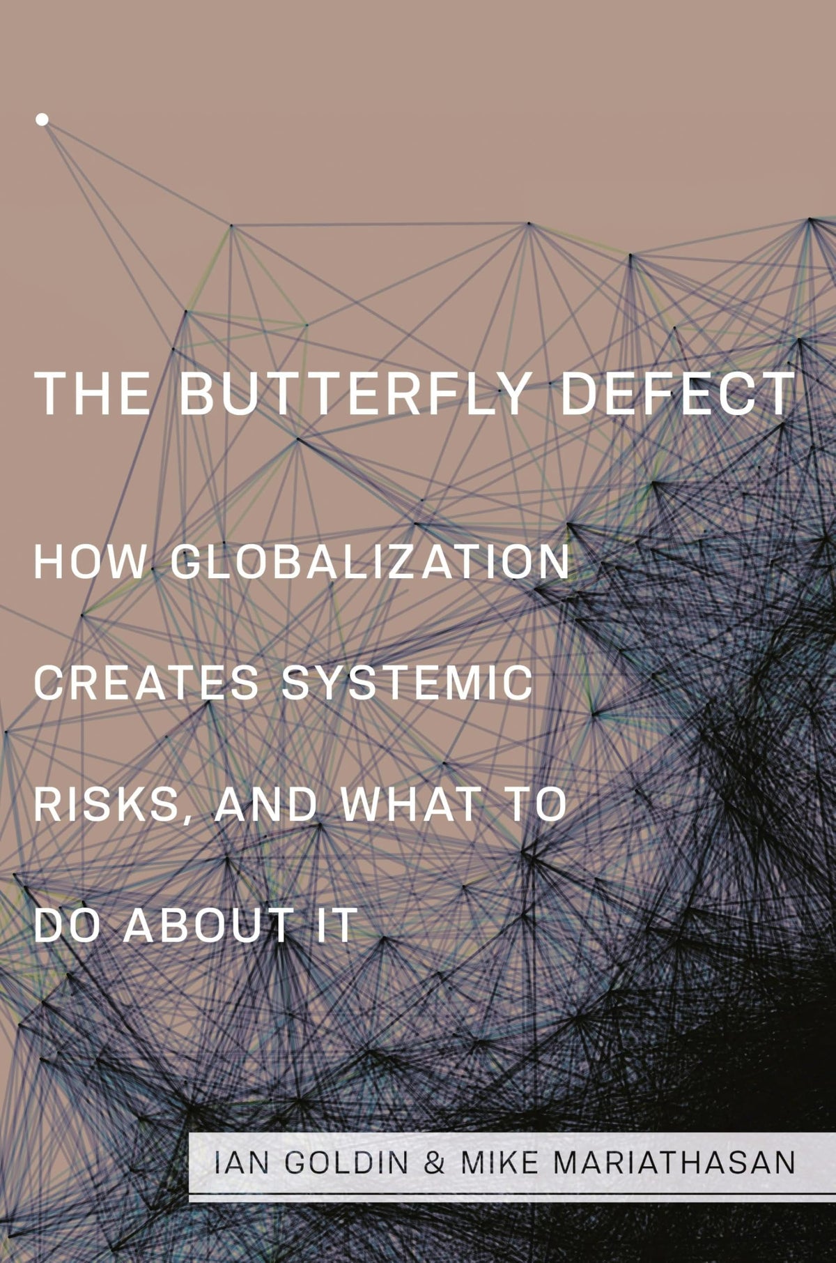 The Butterfly Defect: How Globalization Creates Systemic Risks, and What to Do about It