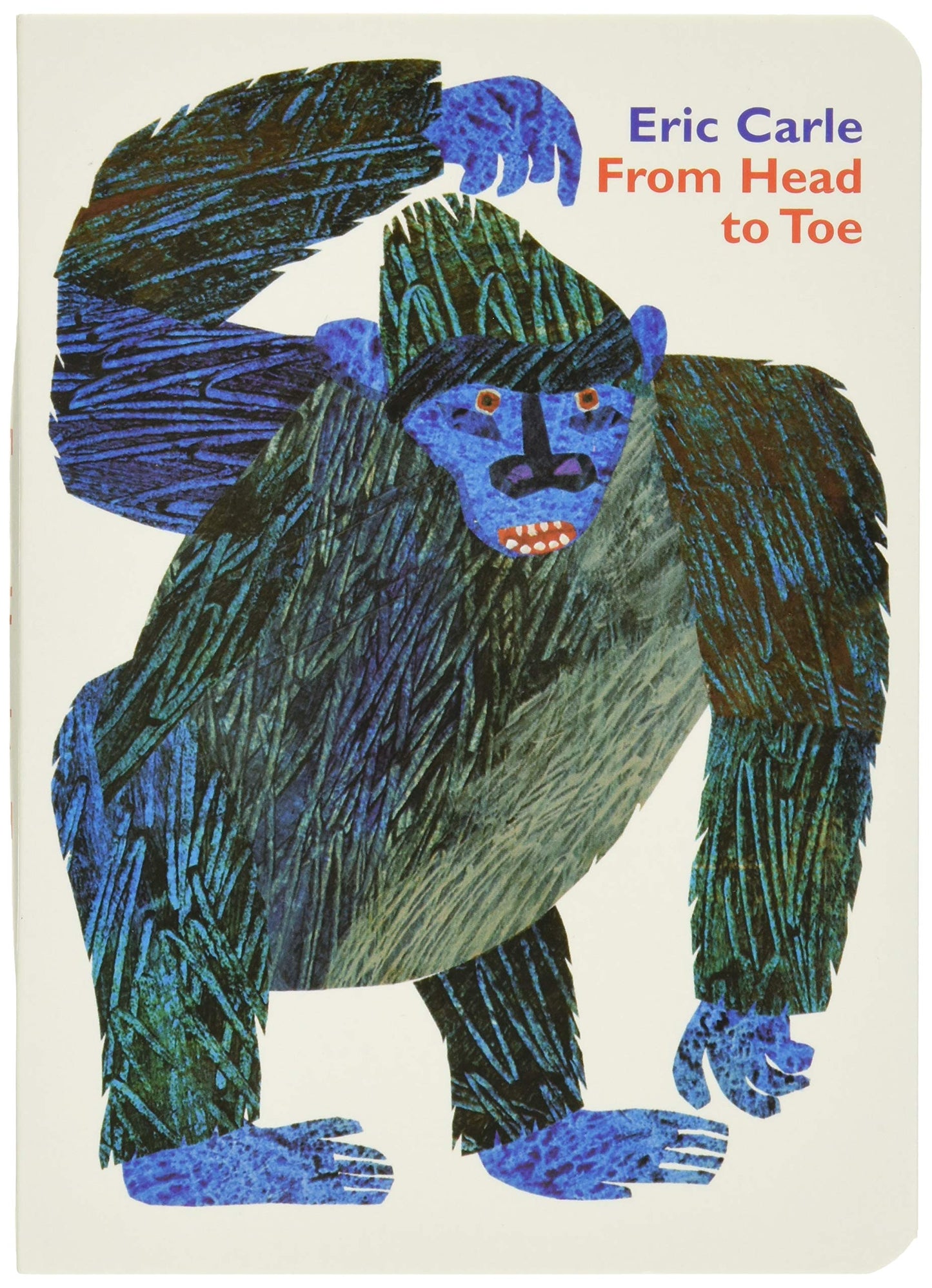 From Head to Toe Board Book - 7960