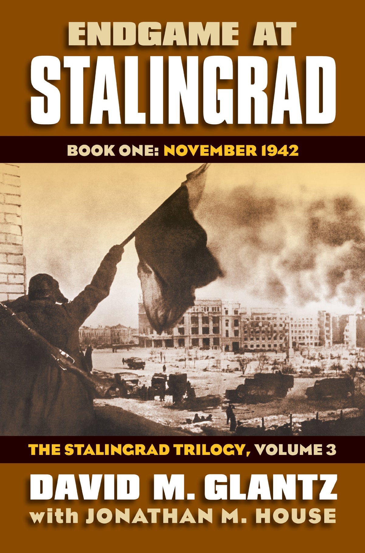 Endgame at Stalingrad: Book One: November 1942The Stalingrad Trilogy, Volume 3 (Modern War Studies)