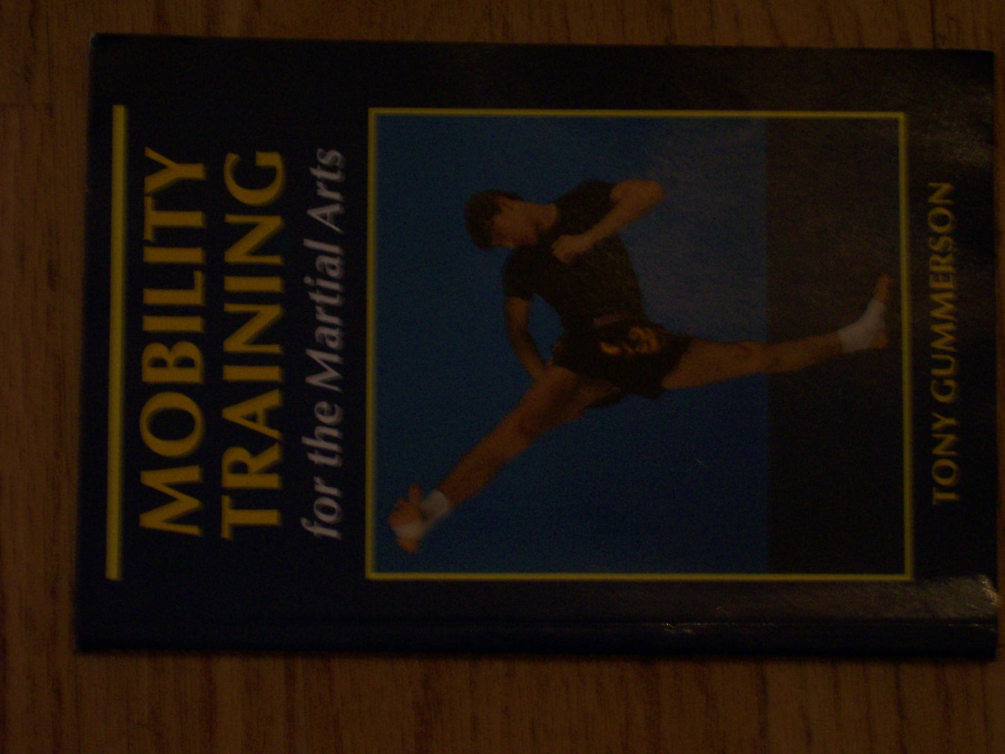 Mobility Training for the Martial Arts - 2741