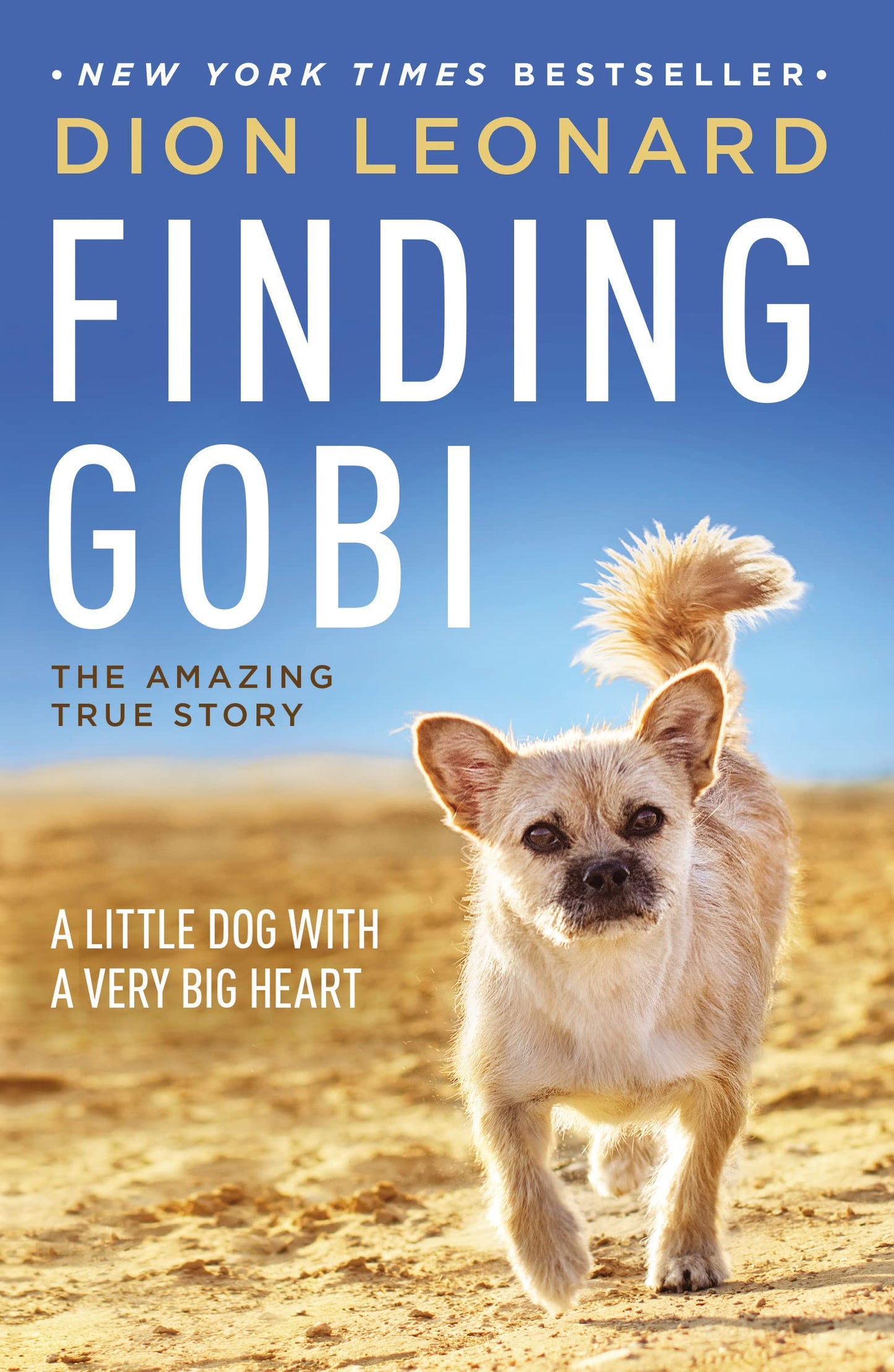 Finding Gobi: A Little Dog with a Very Big Heart - 3783
