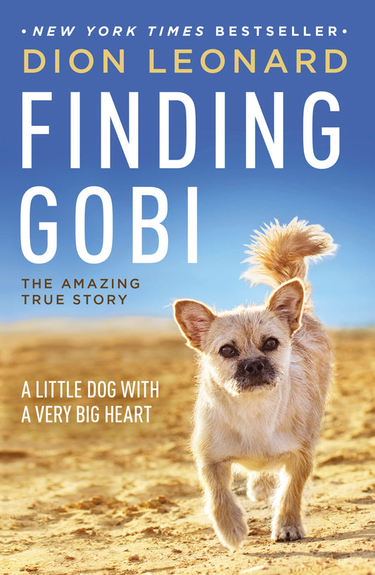 Finding Gobi: A Little Dog with a Very Big Heart - 6429