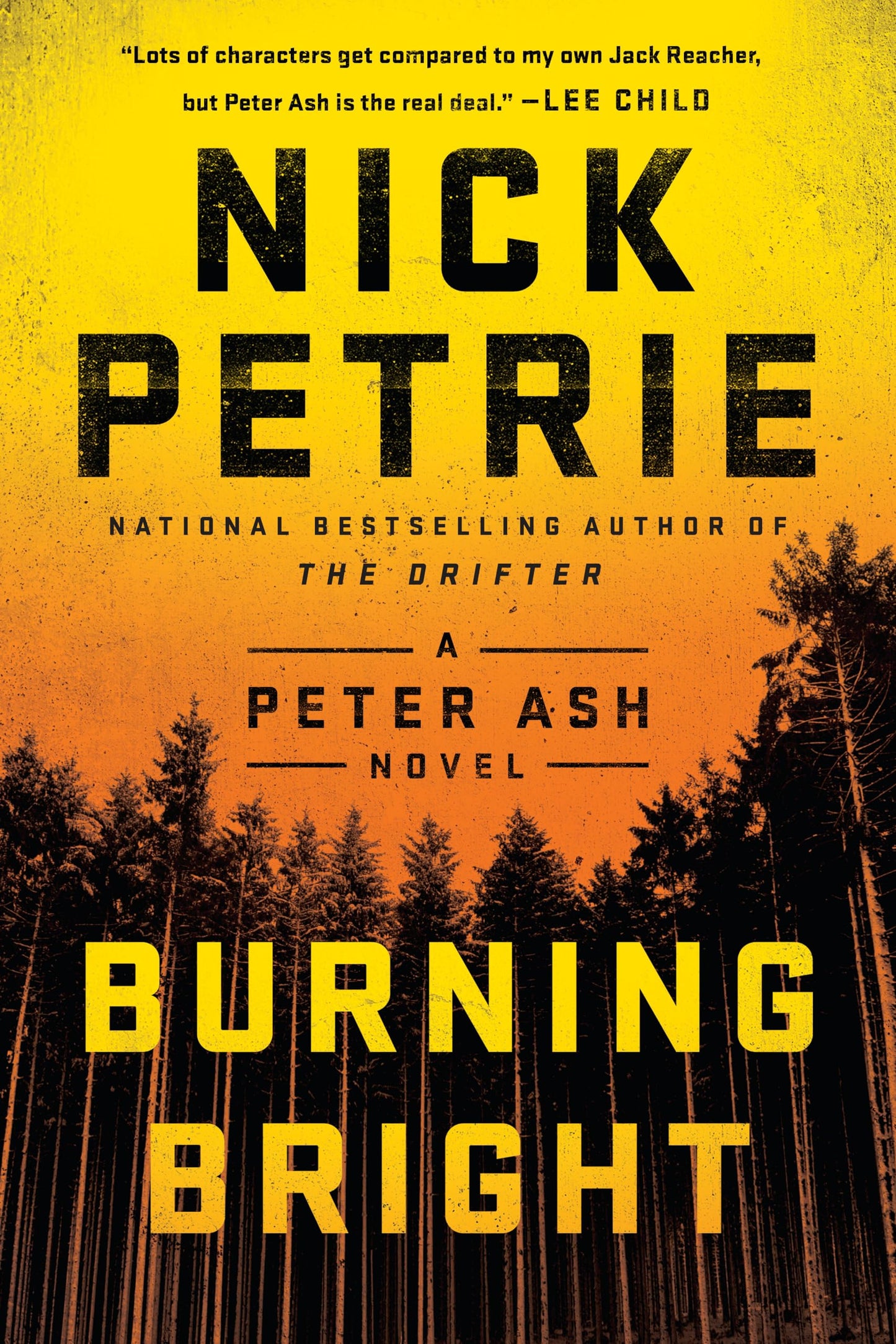 Burning Bright (A Peter Ash Novel)