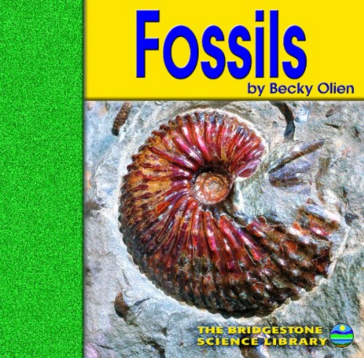 Fossils (Bridgestone Science Library Exploring the Earth)