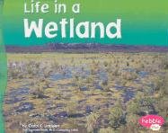 Life in a Wetland
