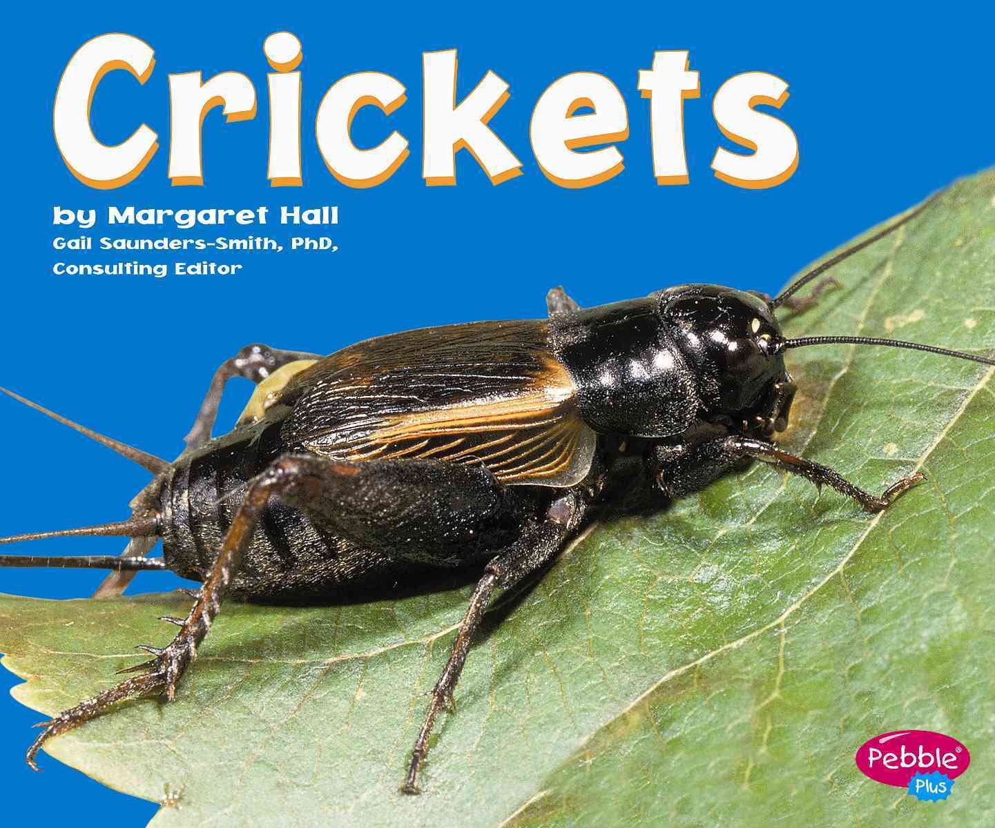 Crickets (Pebble Plus)