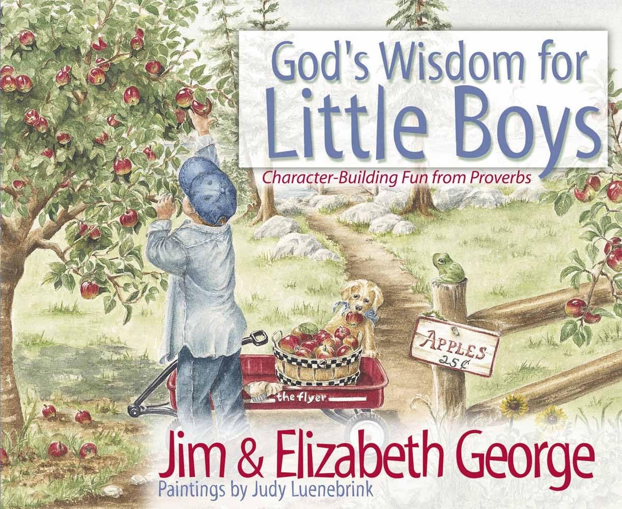 God's Wisdom for Little Boys: Character-Building Fun from Proverbs - 804
