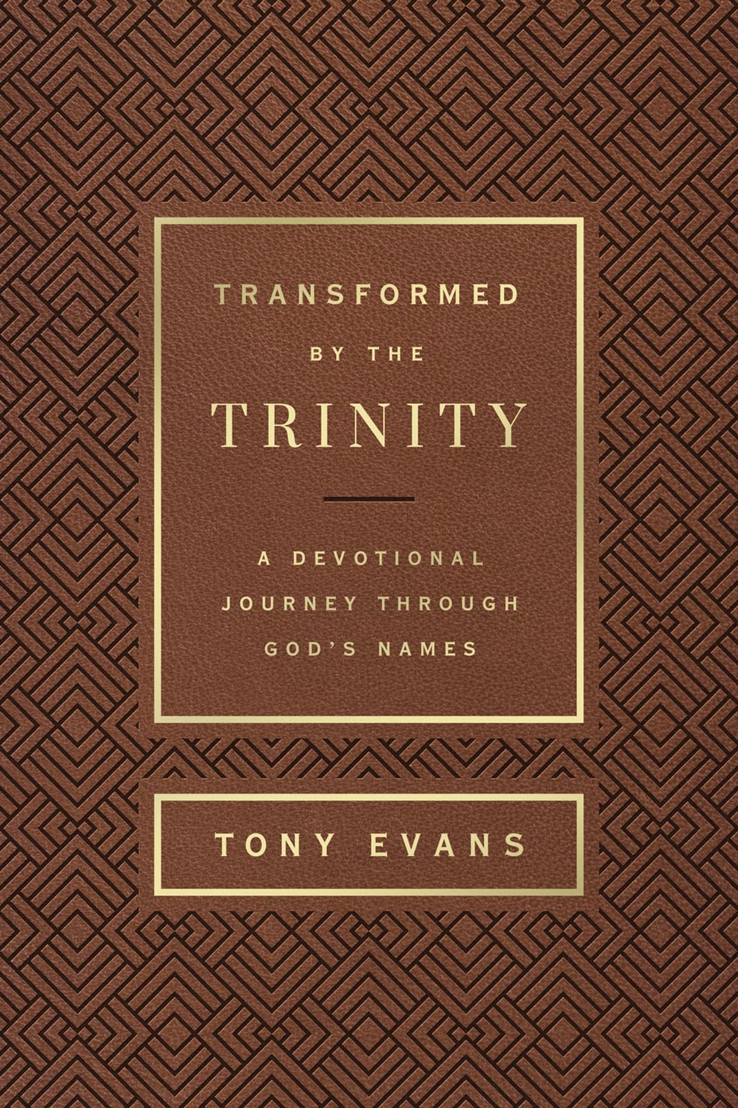 Transformed by the Trinity (Milano Softone): A Devotional Journey Through God's Names (The Names of God Series)
