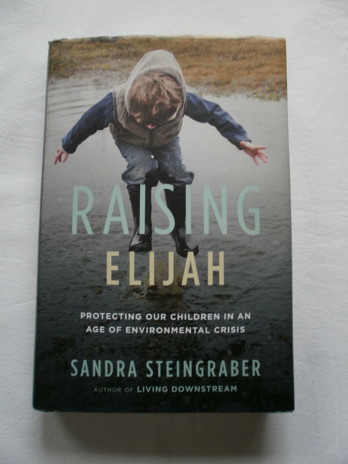 Raising Elijah: Protecting Our Children in an Age of Environmental Crisis (A Merloyd Lawrence Book) - 265