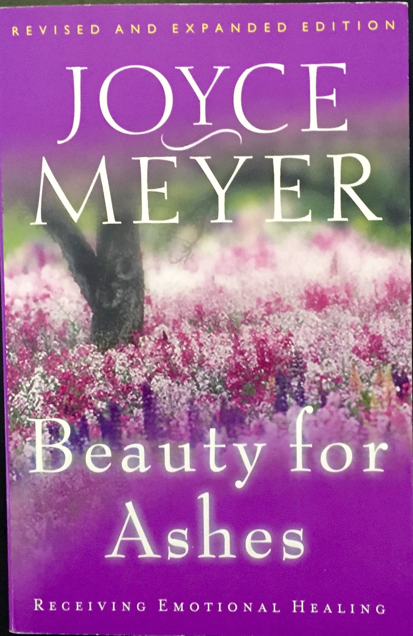Beauty for Ashes